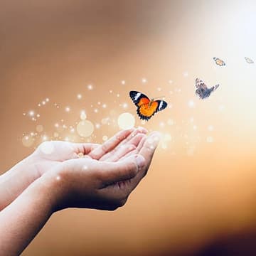 Cover Image for The Art of Letting Go