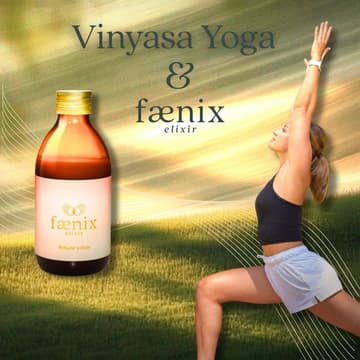 Cover Image for Vinyasa Yoga & faenix elixir