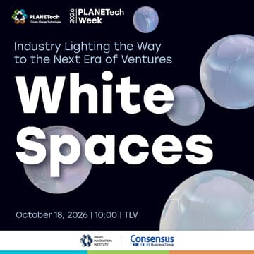 Cover Image for White Spaces