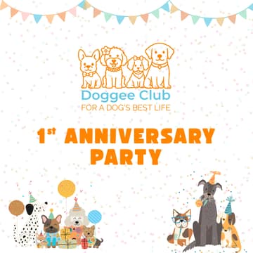 Cover Image for First Anniversary Party
