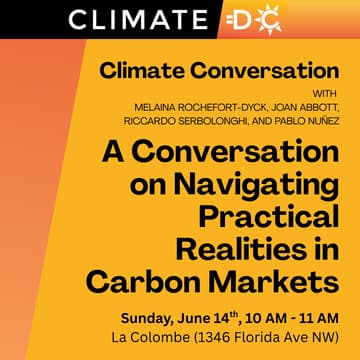 Cover Image for A Conversation on Navigating Practical Realities in Carbon Markets