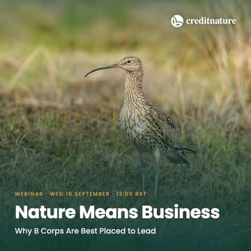 Cover Image for Nature Means Business: Why B Corps Are Best Placed to Lead