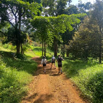 Cover Image for Hike - Location TBD