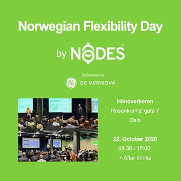Cover Image for Norwegian Flexibility Day