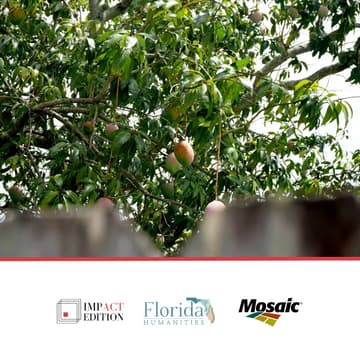 Cover Image for Sweet, Sweet Connection: Live Reading Picnic & Guided Tour