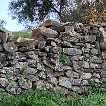 Cover Image for Construcción de muros de piedra seca en los Pedroches