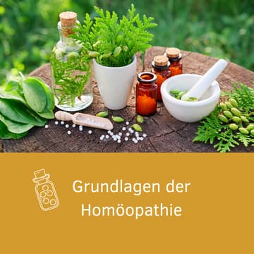 Cover Image for Grundlagen der Homöopathie