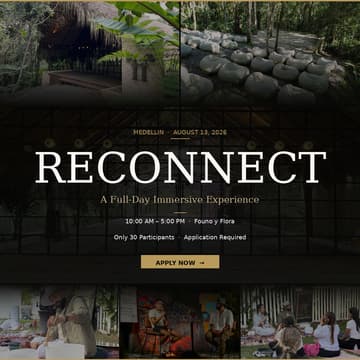 Cover Image for RECONNECT