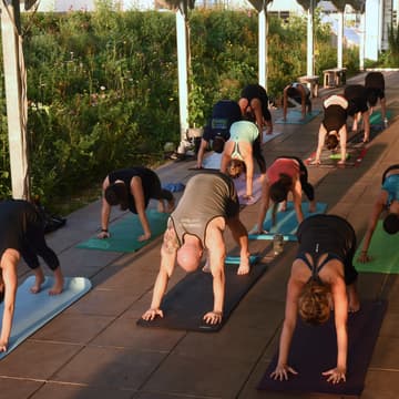 Cover Image for Friday Morning Yoga @ Brooklyn Navy Yard : 9 AM