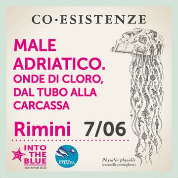 Cover Image for MALE ADRIATICO. Onde di cloro, dal tubo alla carcassa