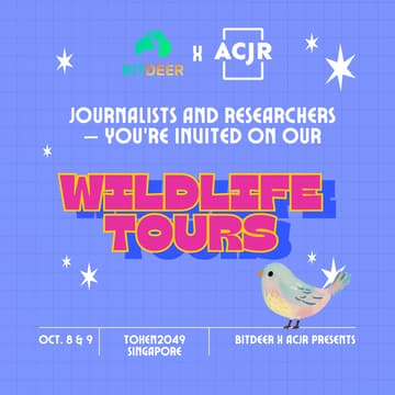 Cover Image for Bird Paradise Walking Tour — ACJR x Bitdeer