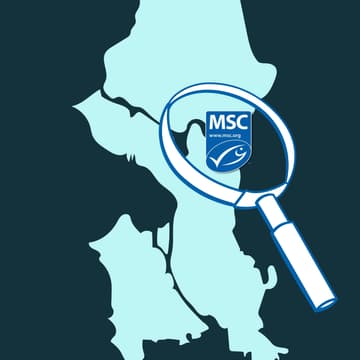 Cover Image for Sustainable Seafood Scavenger Hunt