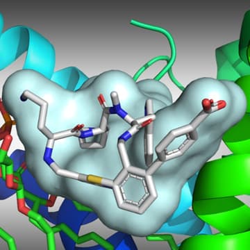 Cover Image for Macrocycle Design: Lessons from Recent Clinical Successes