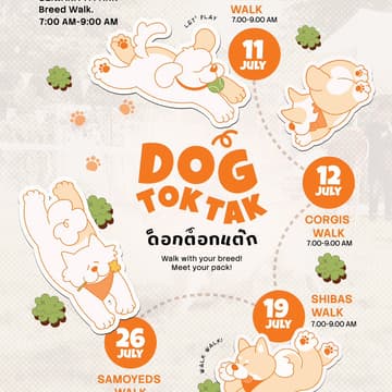 Cover Image for DOG TOKTAK: Shibas Walk