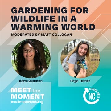 Cover Image for Gardening for Wildlife in a Warming World: How to Support Climate Resiliency Through Sequestering Carbon