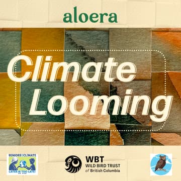 Cover Image for Climate Looming