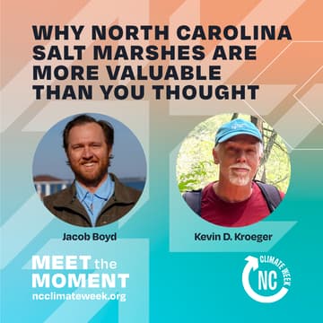 Cover Image for Why North Carolina Salt Marshes Are More Valuable Than You Thought
