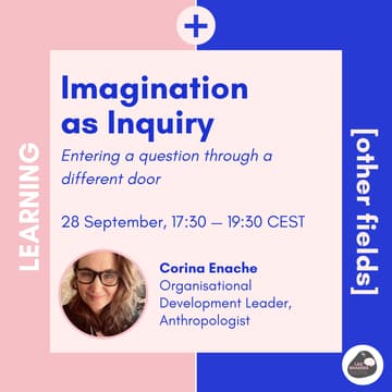 Cover Image for Learning & Other Fields: Imagination as Inquiry