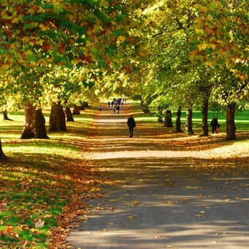 Cover Image for 🌳Offline Women Explore the Royal Parks: Green Park