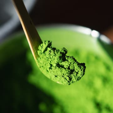 Cover Image for Learn about Matcha and have a taste- by AMIKA MATCHA