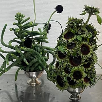 Cover Image for CB Studio / Edible Floral Workshop with Veronika Fink
