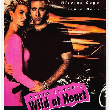 Cover Image for Petit Ermitage & David Lynch Foundation Host an Invitation Only Group Meditation & Private Rooftop Screening of Wild at Heart