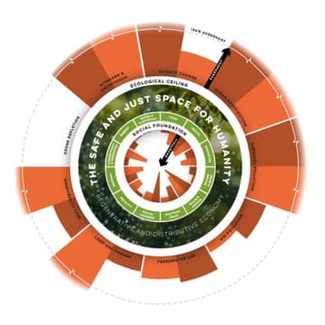 Cover Image for Ideas We Need for the Future: Doughnut Economics