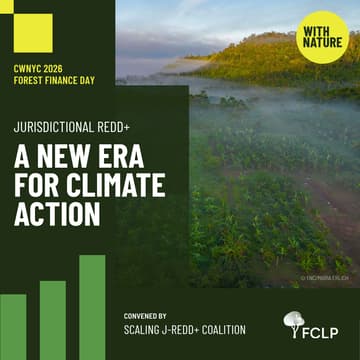 Cover Image for Jurisdictional REDD+ A New Era for Climate Action