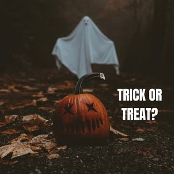 Cover Image for The Halloween Party
