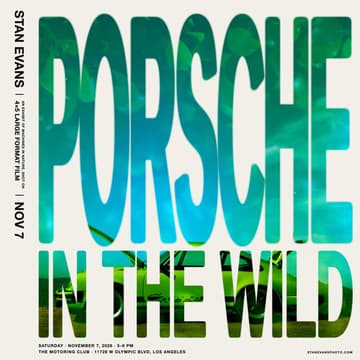 Cover Image for PORSCHE IN THE WILD