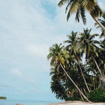Cover Image for Mentawai (Aug 24-30)