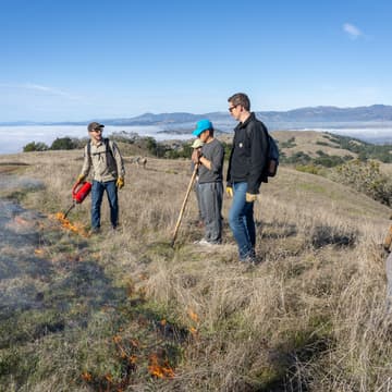 Cover Image for Learn & Burn Day at Pepperwood Preserve