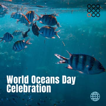 Cover Image for 🌐 World Oceans Day Celebration