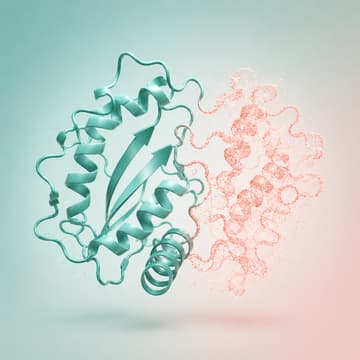 Cover Image for Re-imagining Proteins with AI: Antibodies and Beyond