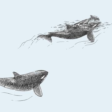 Cover Image for Motherhood and Interspecies Solidarity in a Time of Climate Crisis