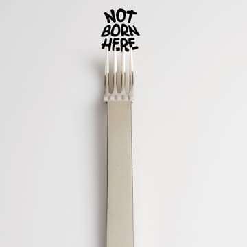 Cover Image for Not Born Here: Tour & Dinner @ the MAK