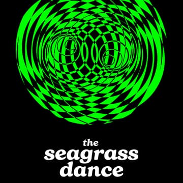 Cover Image for The seagrass dance: A Film by Kayla Weisdorf