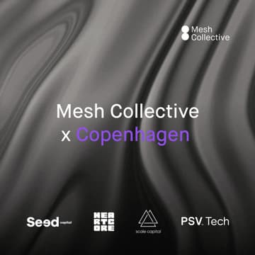 Cover Image for Mesh Collective X Copenhagen