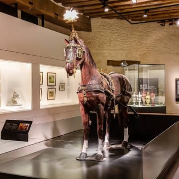Cover Image for Musée du Cheval at the Château de Chantilly