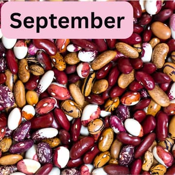 Cover Image for Bulk Packing Night