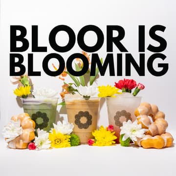 Cover Image for Bloor is Blooming: Isabella's Donuts is Relaunching
