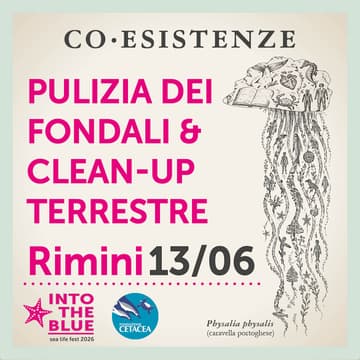 Cover Image for Pulizia dei fondali & clean-up terrestre