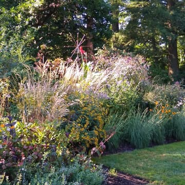 Cover Image for Photo Walk: The Barnes Arboretum at Saint Joseph’s University