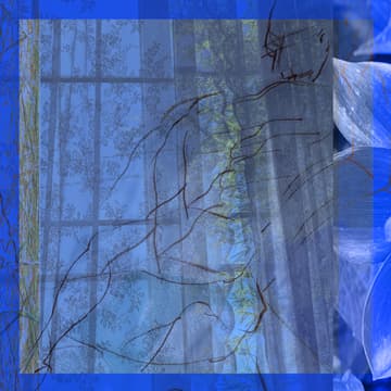 Cover Image for Art Opening: Susan R. Kirshenbaum