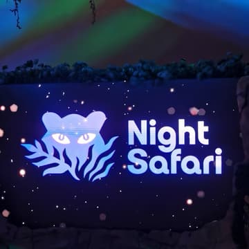 Cover Image for Hangout at Night Safari·下班户外局·夜间动物园