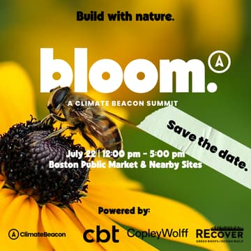 Cover Image for Bloom: Build with nature.