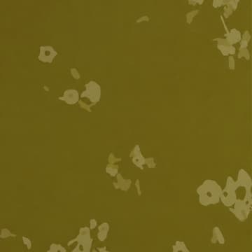 Cover Image for Opening Reception: Guarded Wilds