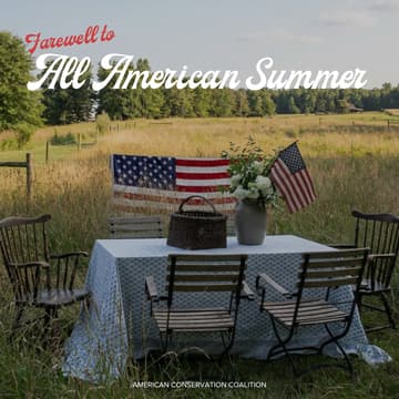 Cover Image for A Farewell to ACC's All-American Summer