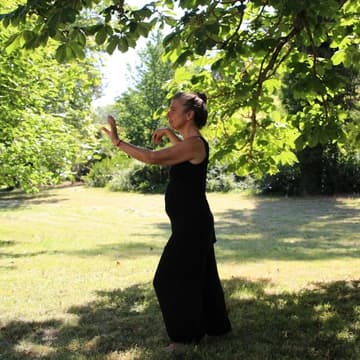 Cover Image for Qigong Among the Trees