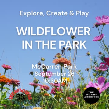 Cover Image for Wildflower in the Park